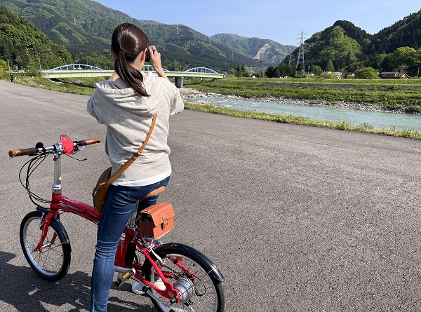 写真
