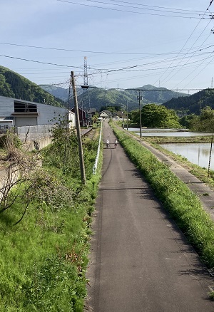 写真