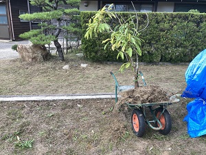 写真