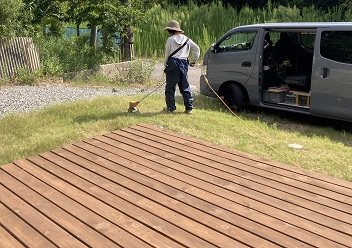 写真